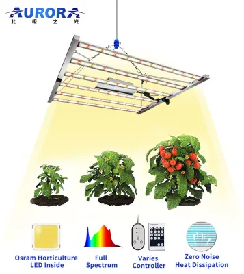 Aurora 500W 600W LED à spectre complet élèvent la lumière