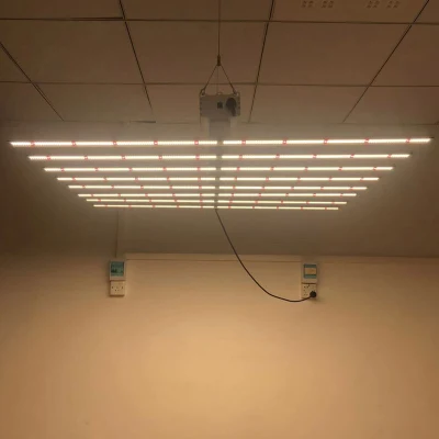 Le pliage 240W 480W 600W LED à spectre complet élèvent des lumières pour les plantes d'intérieur cultivant des légumes